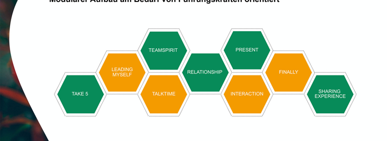  Module der Webinarreihe Remote Leadership