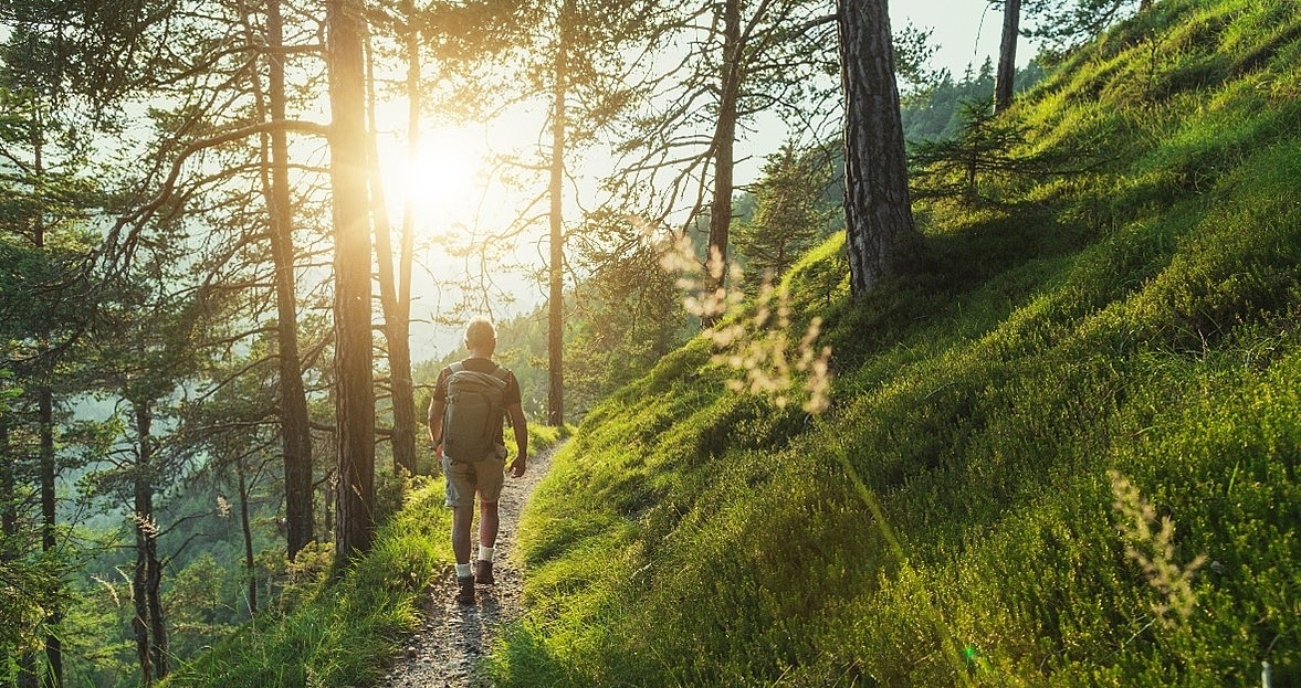 Ein Mann wandert durch den Wald der Sonne entgegen